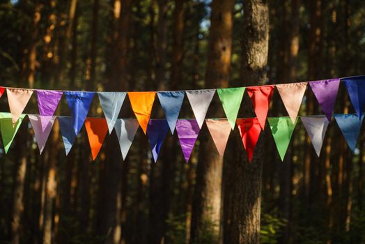 Carnival Garland with Flags, Decorative Party Pennants for Birthday Celebration, Festival and Fair Decoration, Hanging Flags, Bunting Flags ,Triangle Fabrics Hanging on the Rope, Bunting Background