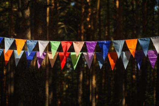 Carnival Garland with Flags, Decorative Party Pennants for Birthday Celebration, Festival and Fair Decoration, Hanging Flags, Bunting Flags ,Triangle Fabrics Hanging on the Rope, Bunting Background
