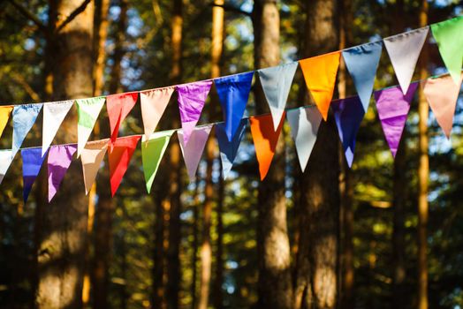 Carnival Garland with Flags, Decorative Party Pennants for Birthday Celebration, Festival and Fair Decoration, Hanging Flags, Bunting Flags ,Triangle Fabrics Hanging on the Rope, Bunting Background