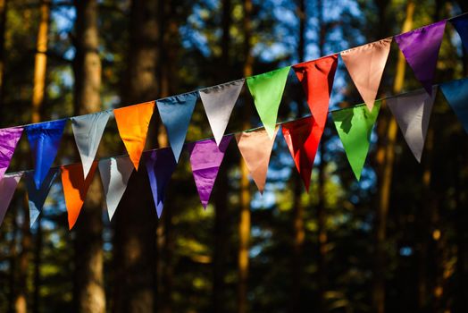 Carnival Garland with Flags, Decorative Party Pennants for Birthday Celebration, Festival and Fair Decoration, Hanging Flags, Bunting Flags ,Triangle Fabrics Hanging on the Rope, Bunting Background