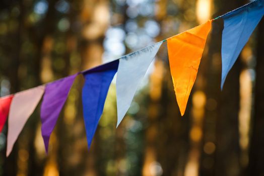 Carnival Garland with Flags, Decorative Party Pennants for Birthday Celebration, Festival and Fair Decoration, Hanging Flags, Bunting Flags ,Triangle Fabrics Hanging on the Rope, Bunting Background
