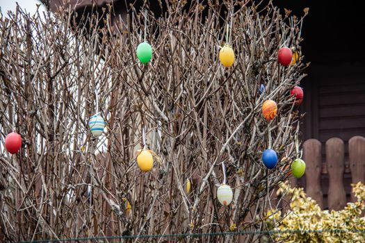 bare bush decorated with colorful Easter eggs in spring