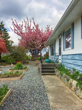 Pathway over front yard of residential house.