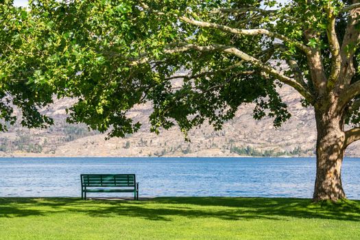 Lonely bench on the shore with lake and mountains overview under the crown of big chestnut tree