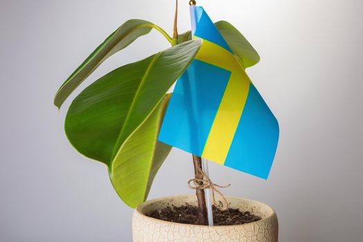 Sweden supports the country's ecology. Greening and cleansing the planet.