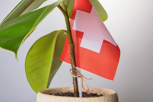 Switzerland supports the country's ecology. Greening and cleansing the planet.