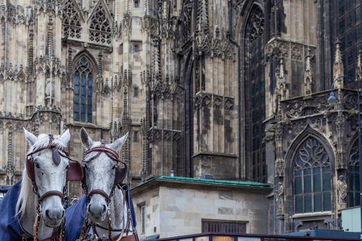 Wien - April 3, 2021: horse-drawn carriages for tourists next to the cathedral.