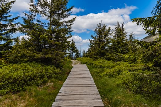 Long mountain trail with panorama if Karkonosze Giant Mountains around