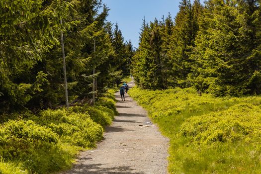 Long mountain trail with panorama if Karkonosze Giant Mountains around