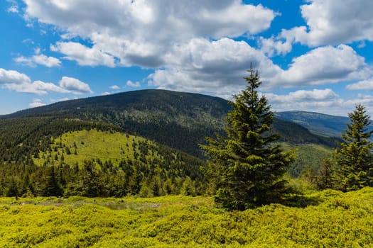 Panorama of Giant Mountains next to trail to Sniezka