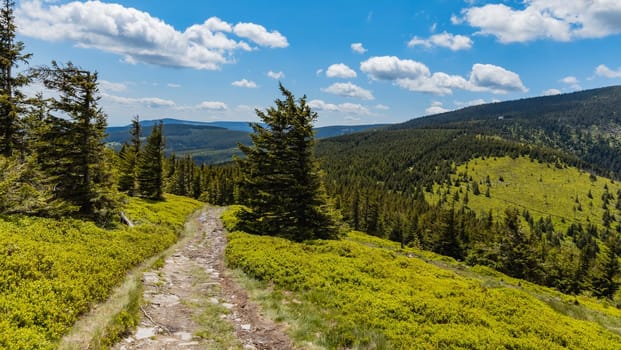 Long mountain trail with panorama if Karkonosze Giant Mountains around