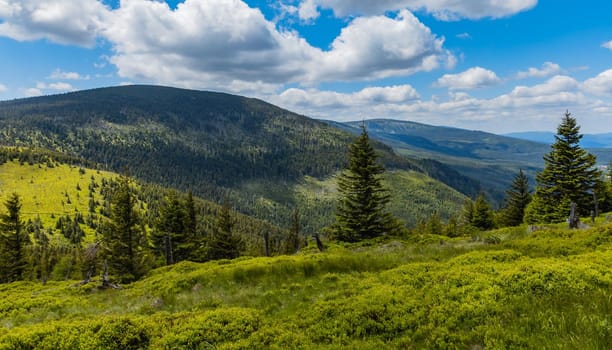 Panorama of Giant Mountains next to trail to Sniezka