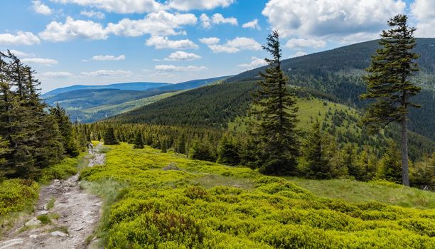 Long mountain trail with panorama if Karkonosze Giant Mountains around