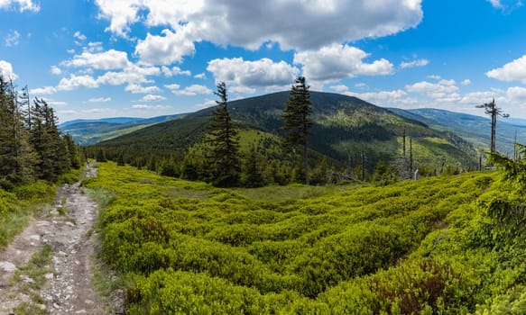 Long mountain trail with panorama if Karkonosze Giant Mountains around