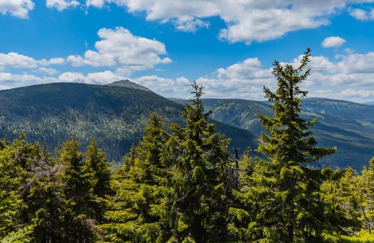 Panorama of Giant Mountains next to trail to Sniezka