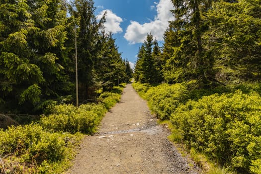 Long mountain trail with panorama if Karkonosze Giant Mountains around