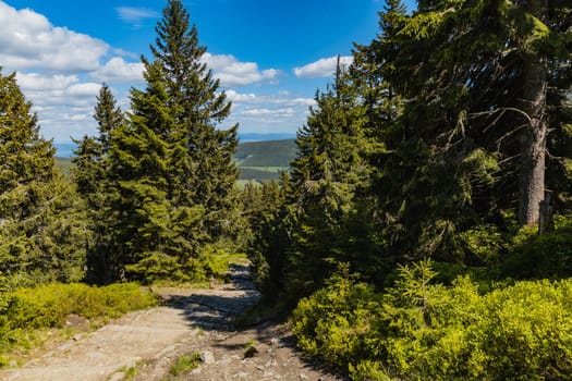 Long mountain trail with panorama if Karkonosze Giant Mountains around