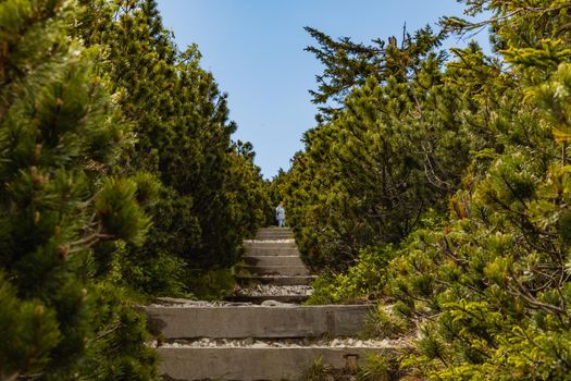 Long mountain trail full of stony stairs with panorama if Karkonosze Giant Mountains around