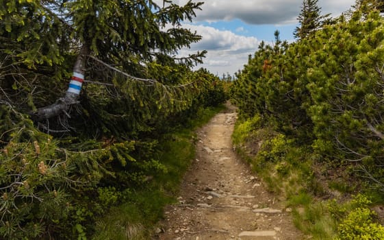 Long mountain trail with panorama if Karkonosze Giant Mountains around