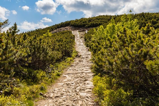 Long mountain trail with panorama if Karkonosze Giant Mountains around