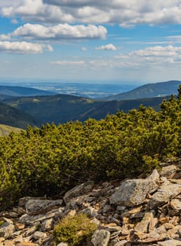 Panorama of Giant Mountains next to trail to Sniezka