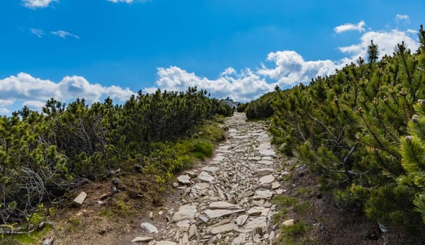 Long mountain trail with panorama if Karkonosze Giant Mountains around