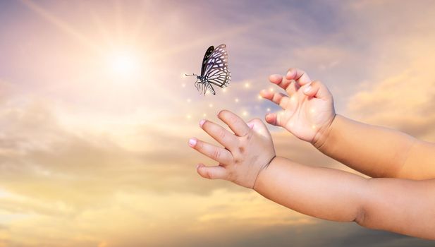 The Small child frees the butterfly from  moment Concept of freedom