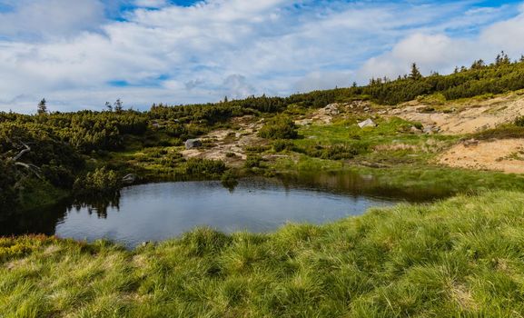 Small puddle with green bushes around next to mountain trail at Giant Mountains