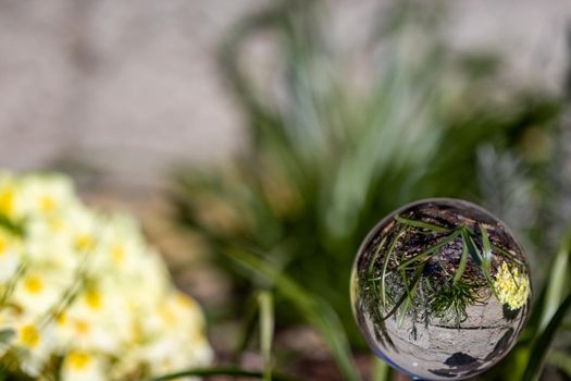 Crystal ball with yellow primrose blossom on moss covered stone surrounded by green grass