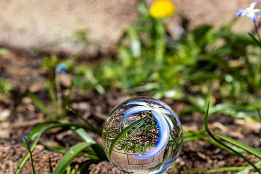 Crystal ball with blue hyacinth blossom on moss covered stone surrounded by green grass