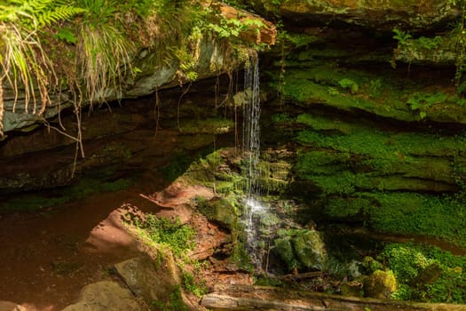 Water flowing over moss covered rocks in the canyon  Hexenklamm