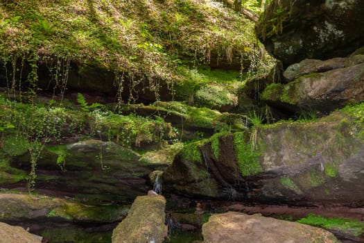 Water flowing over moss covered rocks in the canyon  Hexenklamm