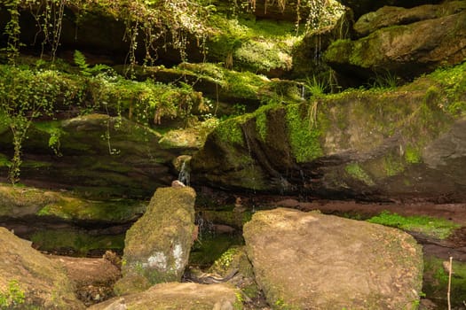 Water flowing over moss covered rocks in the canyon  Hexenklamm