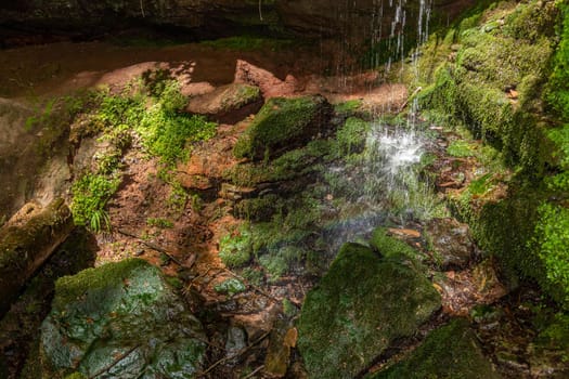 Water flowing over moss covered rocks in the canyon  Hexenklamm