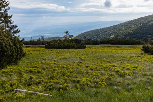 Panorama of Giant Mountains next to trail to Sniezka