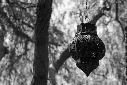 Close-up of an old metal lamp hanging from a chain with pine trunks and twigs in the backgroung on a sunny day