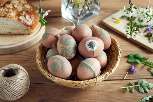Preparation of Easter eggs for dyeing with onion peels with a pattern of fresh plants in a basket