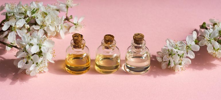 Panoramic header with three bottles of essential oil on pink background with spring blossoms