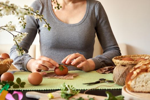 Woman decorating Easter eggs with fresh plants - preparation for dyeing with onion peels