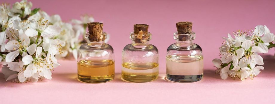 Three bottles of essential oil with white blossoms on a pink background