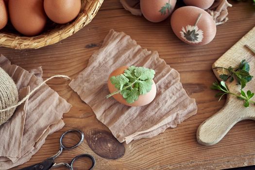 Preparation of Easter eggs for dying with onion peels with a pattern of fresh herbs