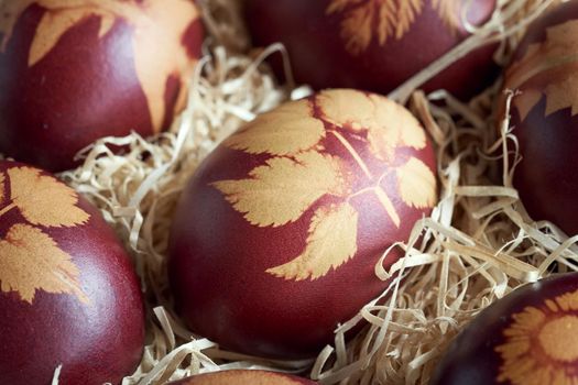Easter eggs dyed with onion peels with a pattern of herbs, close up