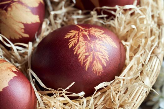 Close up of an Easter egg dyed with onion peels with a pattern of plants