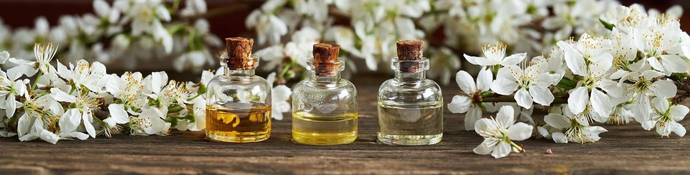 Panoramic header of essential oil bottles and blooming spring trees