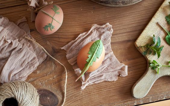 Preparation of Easter eggs for dying with onion peels with a pattern of fresh herbs