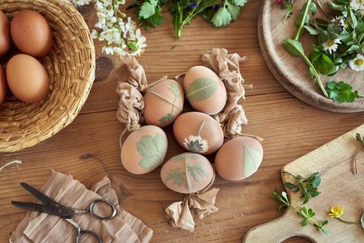 Preparation of Easter eggs for dying with onion peels, top view