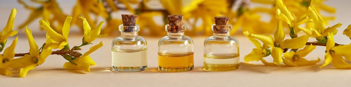 Panoramic header of essential oil bottles with yellow spring flowers