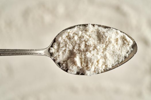 Whey protein powder on a metal spoon, top view