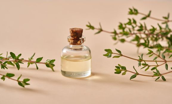 A bottle of essential oil with fresh thyme twigs on a pastel orange background