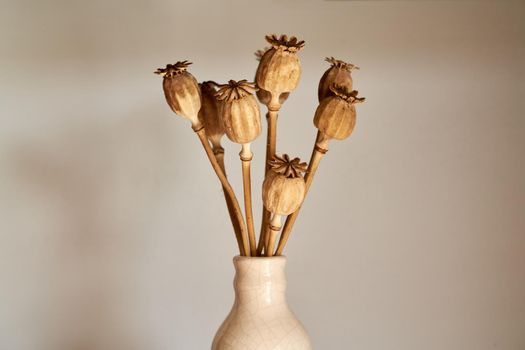 Poppy heads in a vase